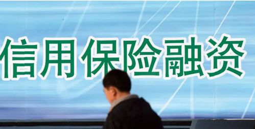 信用保證險(xiǎn)業(yè)績經(jīng)歷 過山車 去年保費(fèi)大增80 至112億元,增信功能受重視