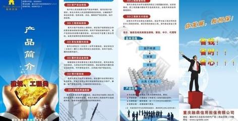 金融擔(dān)保單頁(yè)圖片