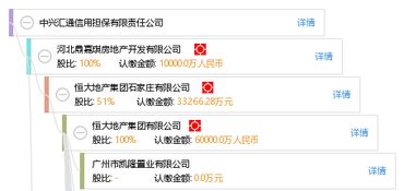 中興匯通信用擔(dān)保有限責(zé)任公司