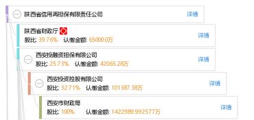 陜西省信用再擔(dān)保有限責(zé)任公司